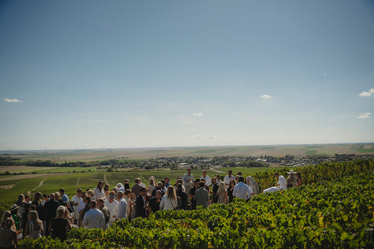 Harvest Celebration 2026